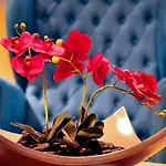 Und Restaurant 酒店 瓦德克雷堡